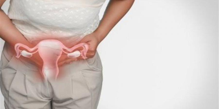 بالبلدي : تشنجات الدورة الشهرية والتهاب بطانة الرحم.. أعراض تكشف الفرق بينهما