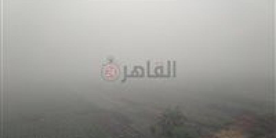 بالبلدي : حالة الطقس في مصر خلال الـ 6 أيام المقبلة.. مائل للحرارة نهارًا وشبورة مائية صباحًا
