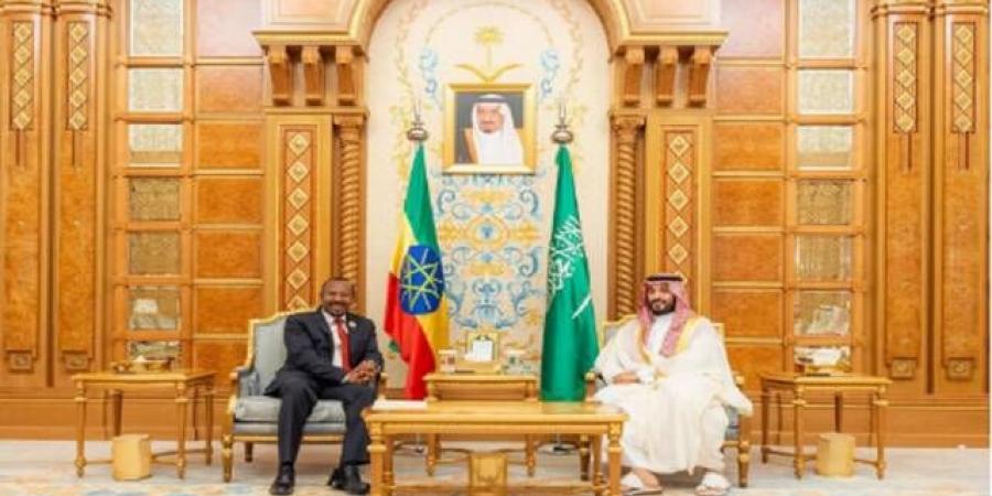 ولي العهد ورئيس وزراء إثيوبيا يبحثان فرص التعاون المشترك في مختلف المجالات بالبلدي | BeLBaLaDy