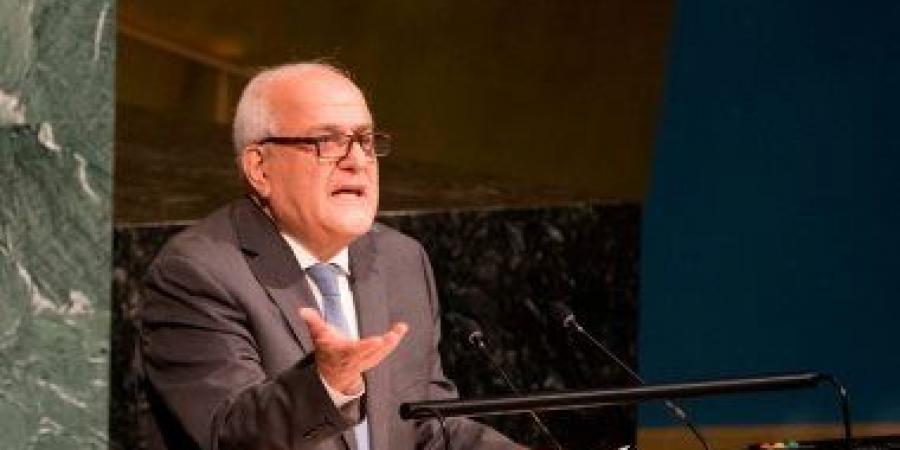 بالبلدي: مندوب فلسطين لدى الأمم المتحدة: دور مصر مهم لإفشال مخطط خلق نكبة فلسطينية ثانية