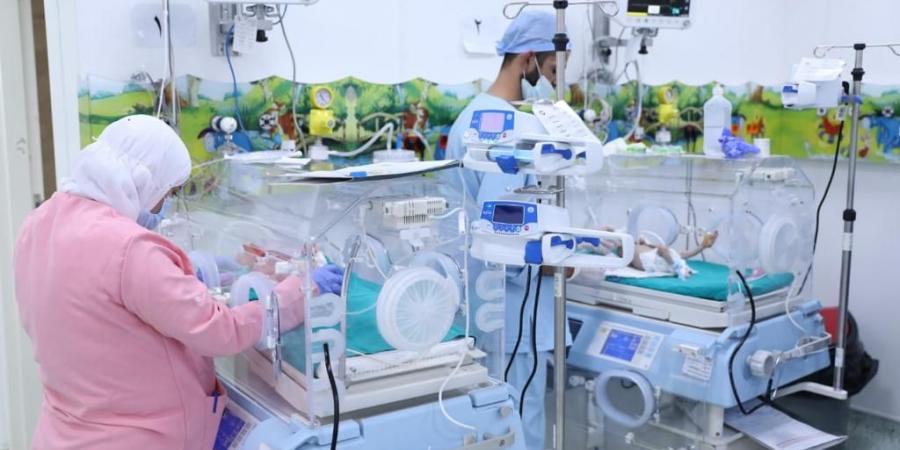 بالبلدي: متحدث الصحة: نقل 12 رضيع فلسطينى من المبتسرين لمستشفى العاصمة الإدارية