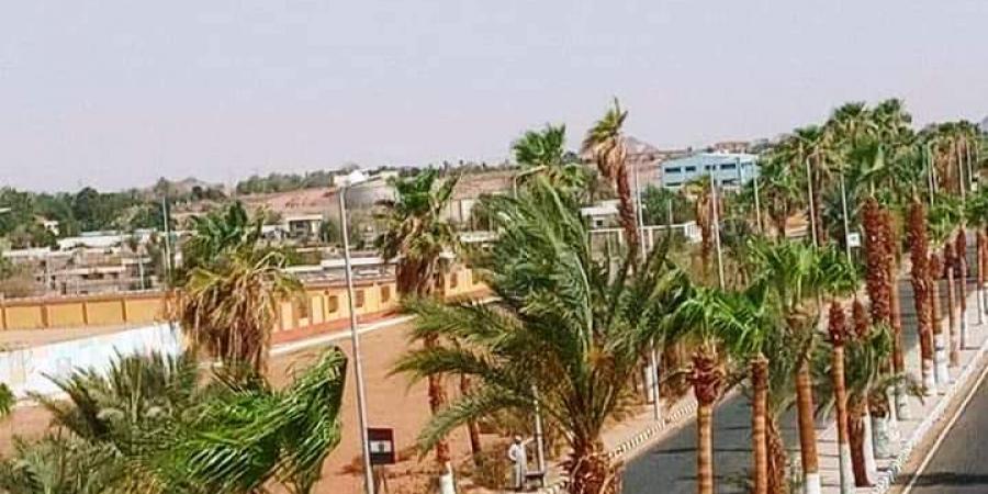 بالبلدي: الجمهورية الجديدة.. مشروعات التطوير بمدينة أبو سمبل تحولها لأكثر المدن جاذبية