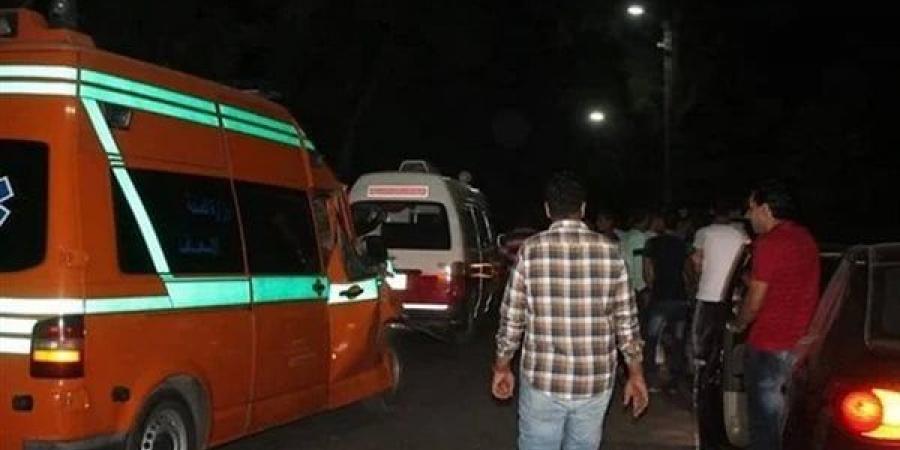 بالبلدي: إصابة 12 شخصا في انقلاب سيارة ربع نقل بصحراوي المنيا belbalady.net