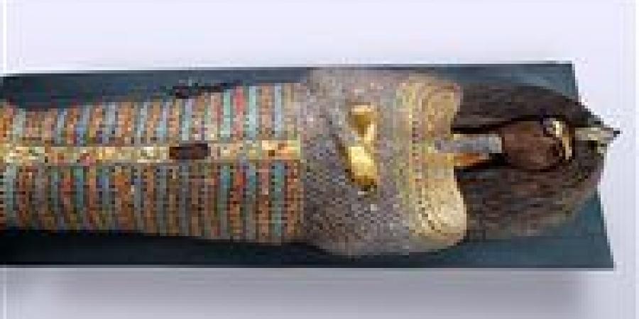 بالبلدي : المتحف المصري بالتحرير يعرض تابوت فريد للملك أخناتون | صور