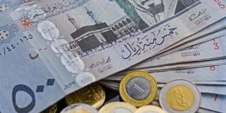 بالبلدي : سعر الريال السعودي أمام الجنيه المصري اليوم الأربعاء