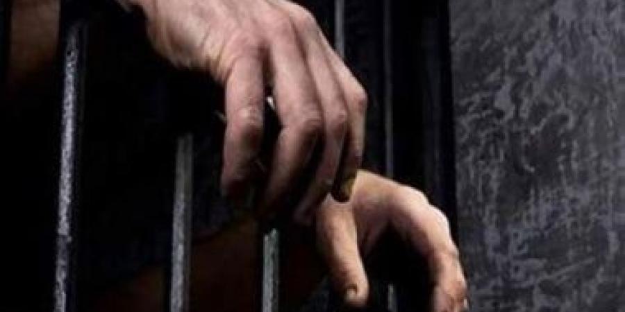 بالبلدي: تأجيل محاكمة 10 متهمين زوروا محررات رسمية بشبرا الخيمة لـ2 أبريل