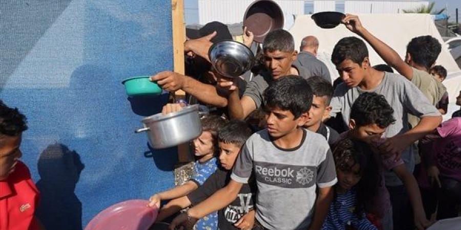 بالبلدي: صندوق الأمم المتحدة للسكان يحذر من خطورة منع تقديم المساعدات للفلسطينيين belbalady.net