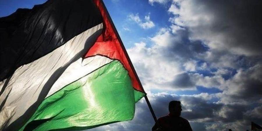 بالبلدي: جهود الجزائر لدعم القضية الفلسطينية في مجلس الأمن.. فيديو belbalady.net