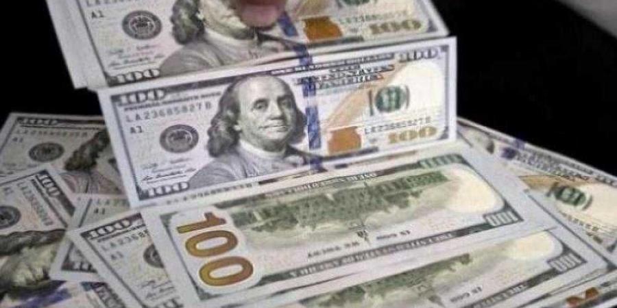 بالبلدي : أسعار الدولار في مصر اليوم السبت