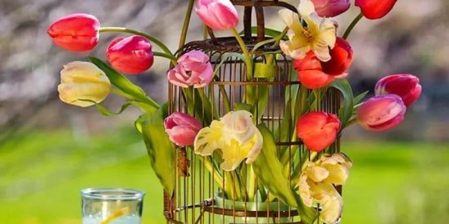بالبلدي: أفكار سهلة لتزيين المنزل في الربيع.. منها استخدام الخضراوات مكان الزهور