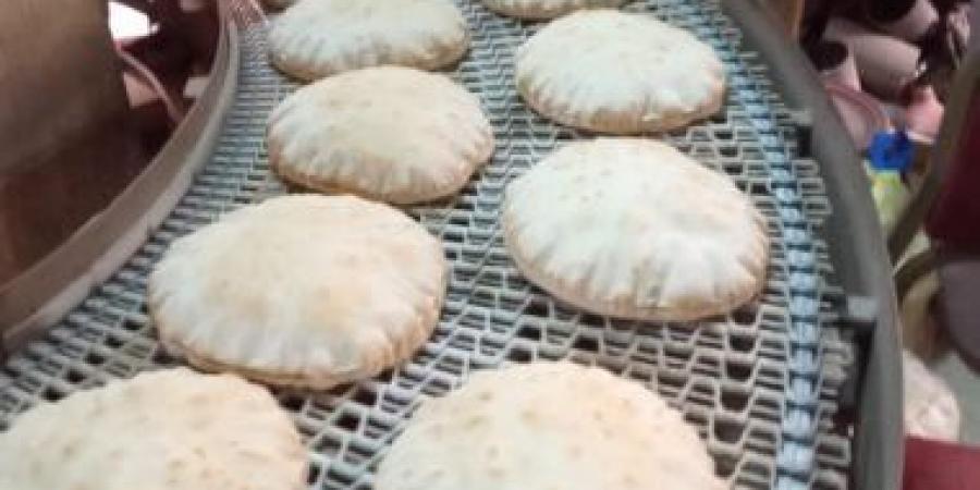 بالبلدي: ضبط 83 مخبزا لإنتاجها خبزا مخالفا للمواصفات وتهريب الدقيق بالبحيرة