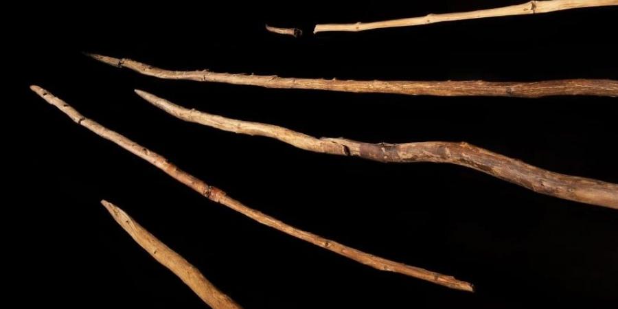 بالبلدي: تحليل أسلحة صيد عمرها 300 ألف عام يكشف تقنيات صناعة الأخشاب قديما