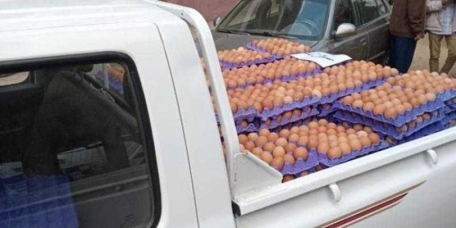 بالبلدي : الزراعة تطرح بيض المائدة للبيع باسعار مخفضة