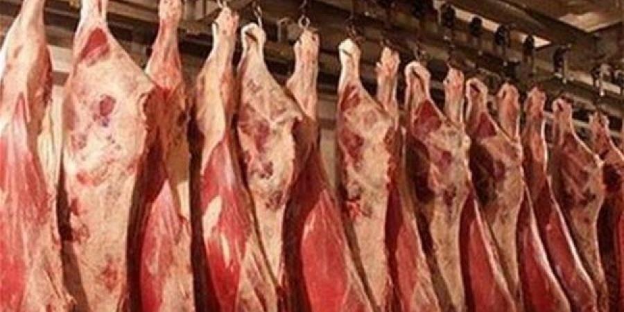 بالبلدي: بشرى حول أسعار اللحوم.. رئيس شعبة القصابين يكشف التفاصيل belbalady.net
