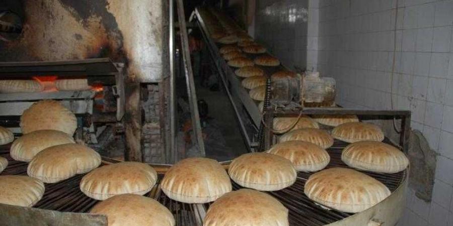 بالبلدي: تراجع أسعار الخبز السياحي في مصر.. اعرف سعر الرغيف