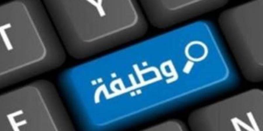 بالبلدي : 3 وظائف خالية في البنك العربي الإفريقي الدولي «التفاصيل وطريقة التقديم»