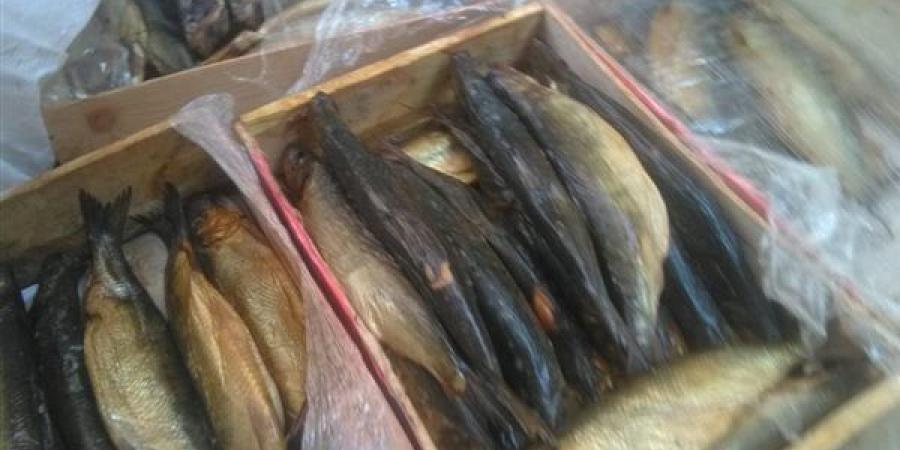 بالبلدي: مصادرة 900 كيلو أسماك مجهولة المصدر بالغربية belbalady.net