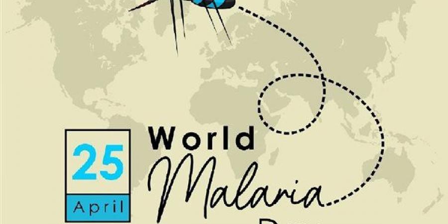 بالبلدي : اليوم العالمي للملاريا 2024| تعرف على أعراضها.. وتأثيرها على الحوامل