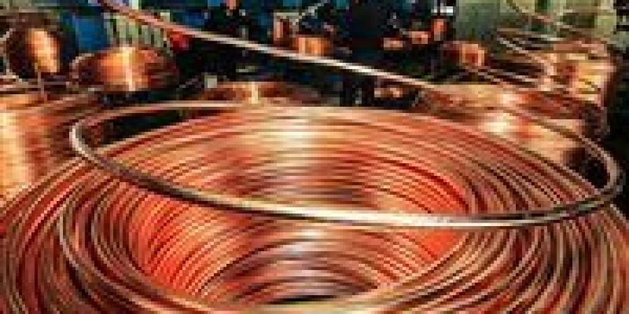 بالبلدي: Copper hits US$10،000 a ton as BHP bid shows tight supply pipeline