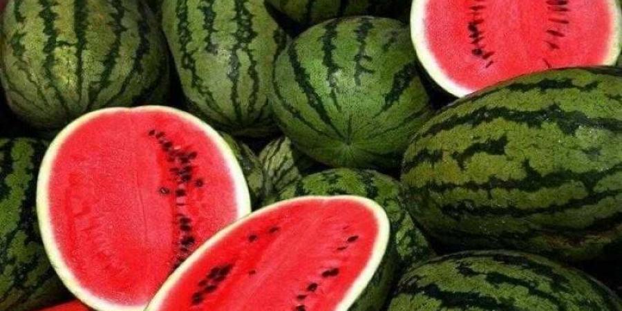 بالبلدي: البطيخ المسرطن .. فزاعة جديدة تهز سوق الفاكهة المصري
