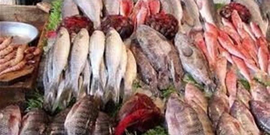 بالبلدي: المقاطعة تواصل نجاحها..البلطي يهبط 35 جنيها والماكريل 50| أسعار جميع أنواع الأسماك belbalady.net