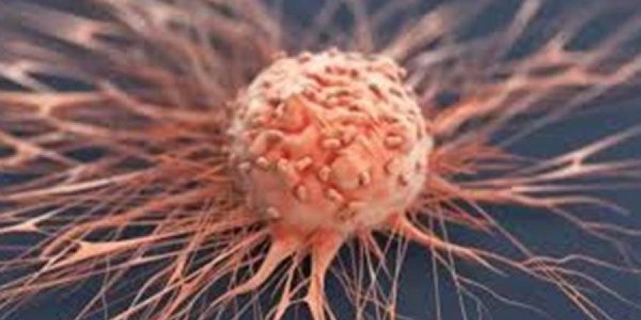 بالبلدي : اختراق طبي.. تطوير لقاح جديد مضاد للسرطان