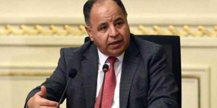 بالبلدي : وزير المالية : كل التقدير للدور التنموي للاستثمارات اليابانية في مصر