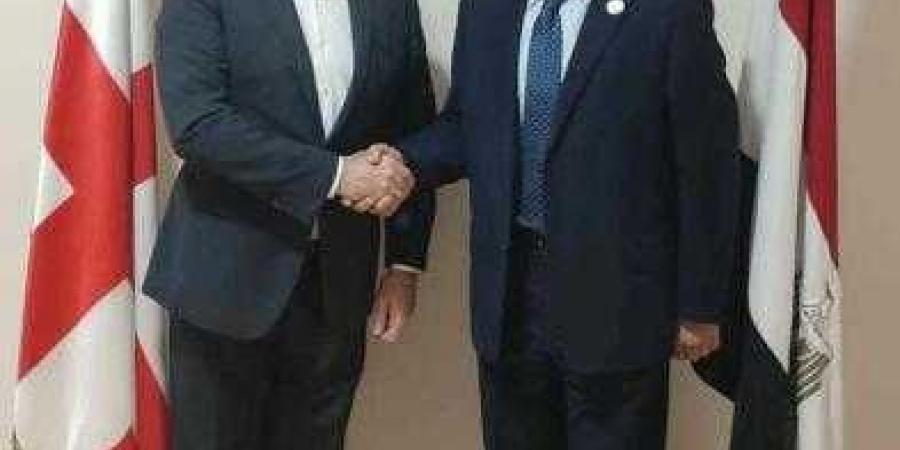 سفير دولة جورجيا يستقبل رئيس جامعة أسوان لبحث سبل التعاون المشترك