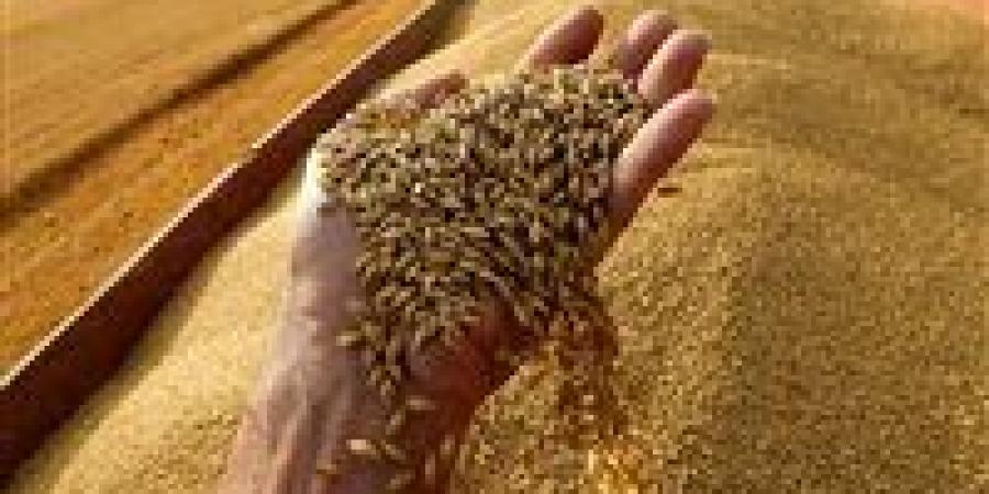 بالبلدي: Russia Clinches More Grain Control Just as Wheat Prices Spike