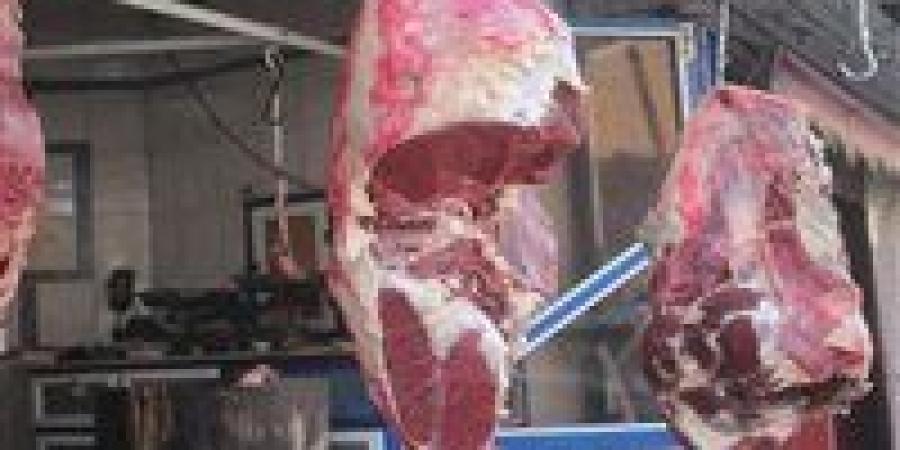 بالبلدي: سعر اللحوم في السوق المصري اليوم الأحد 26 - 5 – 2024