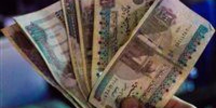 بالبلدي: الحكومة تكشف ملامح خطتها بخصوص الدعم النقدي للمصريين