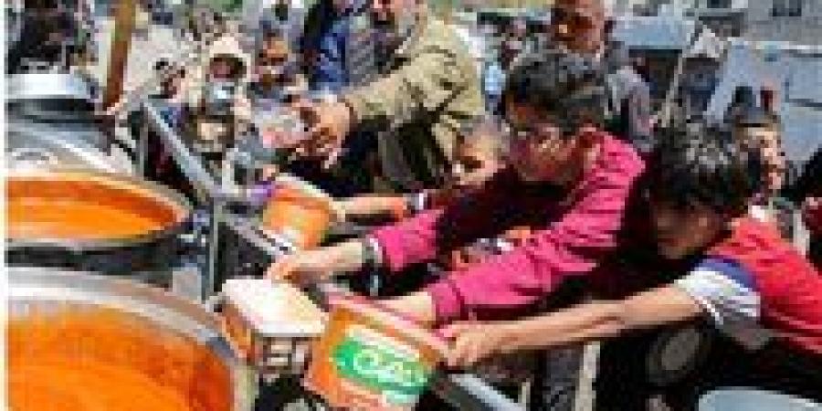 بالبلدي: Israeli Army agrees to resume Gaza food sales as Rafah raid chokes aid