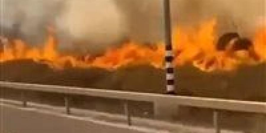 بالبلدي : طوارئ في إسرائيل.. نتنياهو يجري تقييمًا للوضع مع رؤساء الأفرع الأمنية بسبب الحرائق