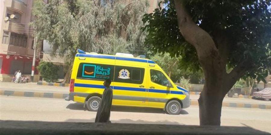 بالبلدي : عامل يطلق النار على ميكانيكي بسبب خلاف على إصلاح سيارة بسوهاج.. والأمن يضبط المتهم