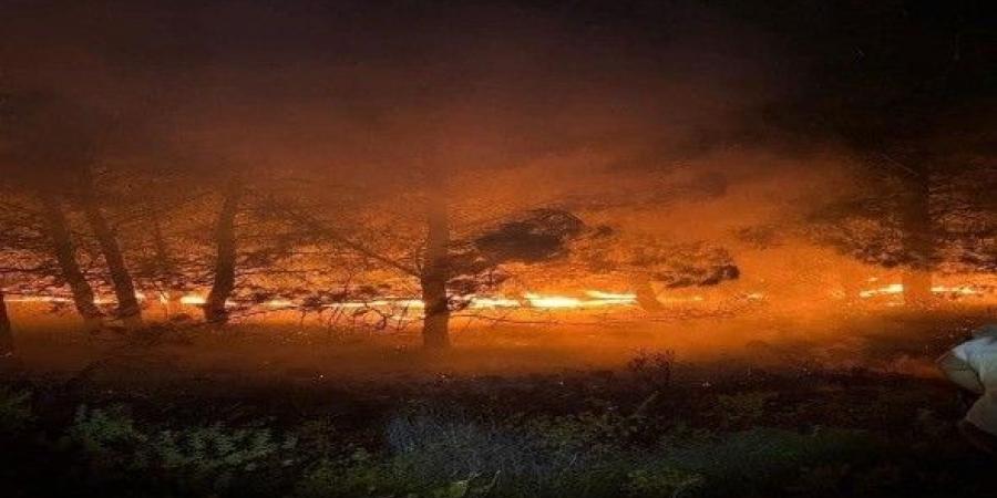 بالبلدي: أمريكا تعلن إجلاء 5 آلاف شخص من منازلهم جراء حرائق الغابات