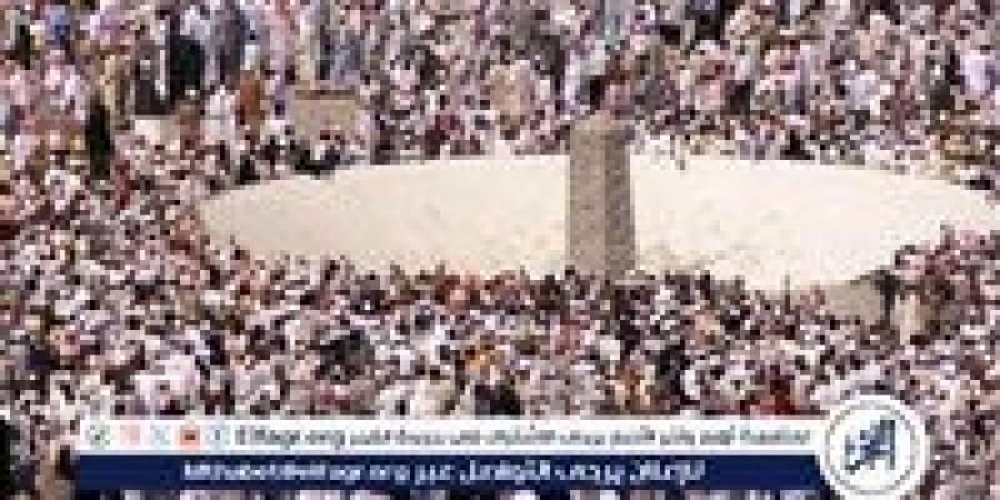 بالبلدي: الخارجية: نبذل جهودًا مكثفة بالتنسيق مع السلطات السعودية لمتابعة البحث عن المصريين المفقودين أثناء الحج