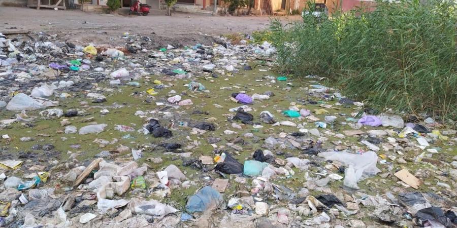 بالبلدي: برلمانية تتقدم ببيان عاجل للحكومة بشأن تفاقم مشكلة الصرف الصحي في دمياط