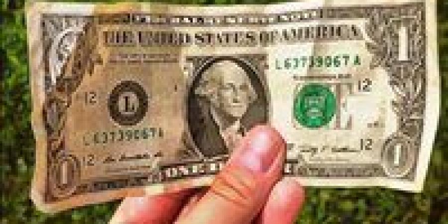 بالبلدي: سعر الدولار أمام الجنيه المصري في تعاملات اليوم الخميس 20-6-2024 بالبنك المركزي
