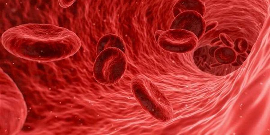 بالبلدي : هيئة الدواء المصرية تقدم نصائح لمرضى فقر الدم المنجلي