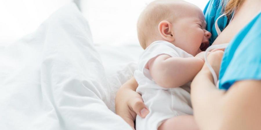 بالبلدي : هل تمنع الرضاعة الطبيعية الحمل؟.. استشاري نساء توضح
