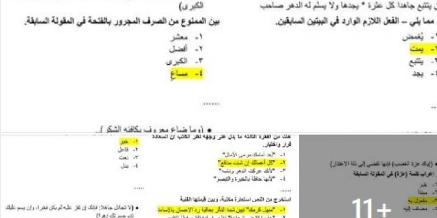 بالبلدي: بمساعدة خبراء اللغة العربية.. نموذج إجابة امتحانات الثانوية العامة 2024