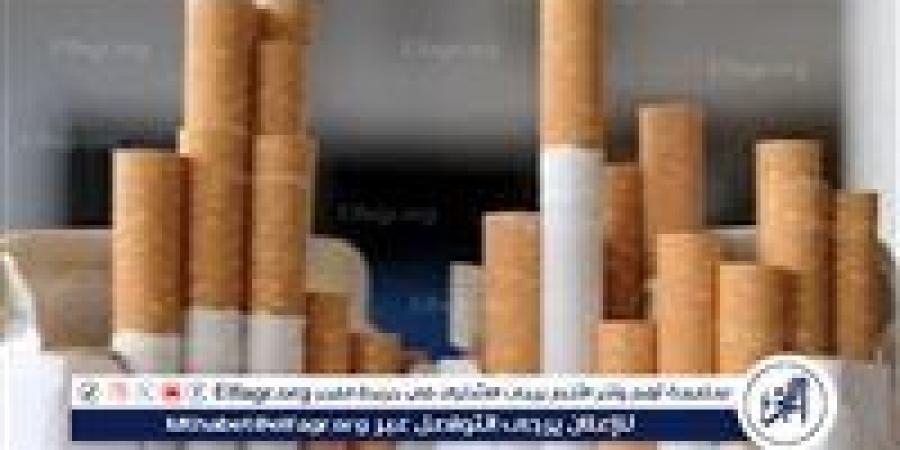 بالبلدي: عاجل:- ارتفاع أسعار السجائر في مصر: تعرف على الأسعار الجديدة بعد الزيادات المتتالية