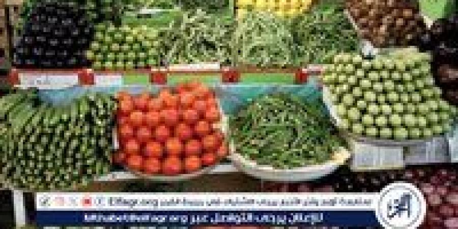 بالبلدي: أسعار الخضروات اليوم الثلاثاء 25-6-2024 في قنا