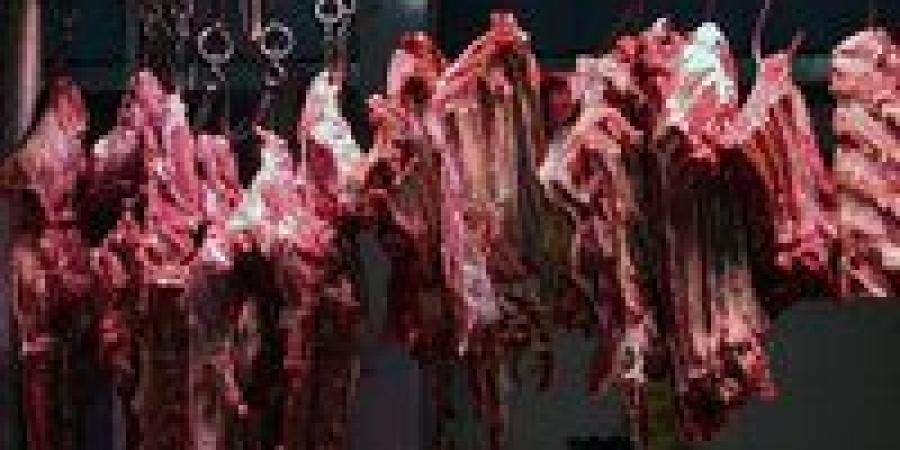 بالبلدي: أسعار
      اللحوم
      اليوم
      الجمعة
      20
      -
      6
      -
      2025