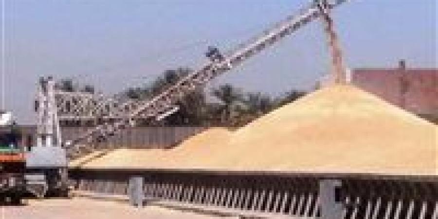 بالبلدي: محافظ
      أسوان:
      تخطى
      المستهدف
      لتوريد
      القمح
      لموسم
      الحصاد
      الحالى
      بنسبة
      113
      %