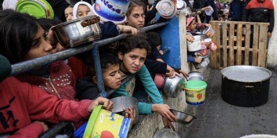 بالبلدي : القاهرة
      الإخبارية:
      18741
      طفلا
      في
      غزة
      يتلقون
      العلاج
      من
      سوء
      التغذية