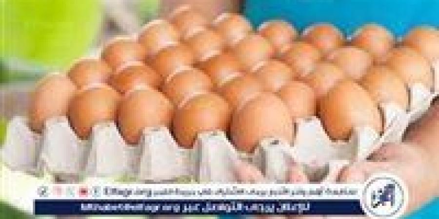 بالبلدي: أسعار
      طبق
      البيض
      اليوم
      الخميس
      26-6-2025
      في
      قنا