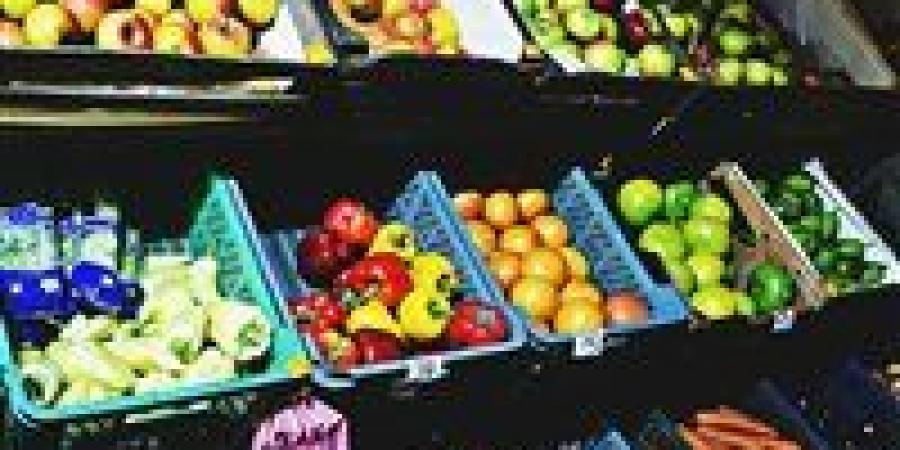 بالبلدي: أسعار
      الخضروات
      والفاكهة
      اليوم
      الجمعة
      27
      -
      6
      -
      2025