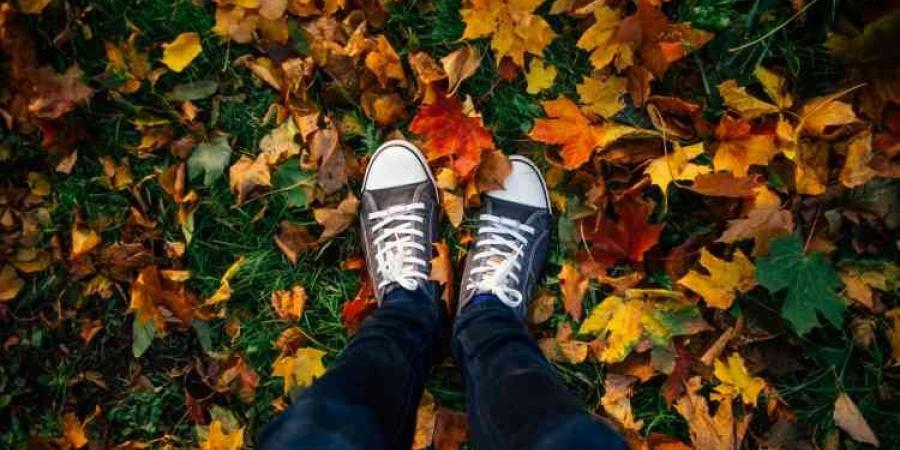 بالبلدي : لماذا
      يجب
      أن
      نتعلم
      التخلي؟
      6
      أمور
      تخبرك