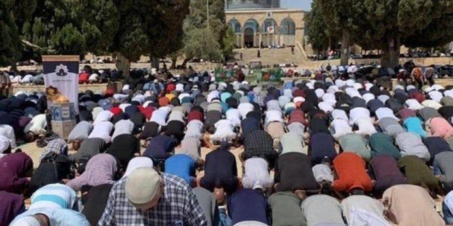 بالبلدي: 45
      ألفا
      يؤدون
      صلاة
      الجمعة
      في
      المسجد
      الأقصى
